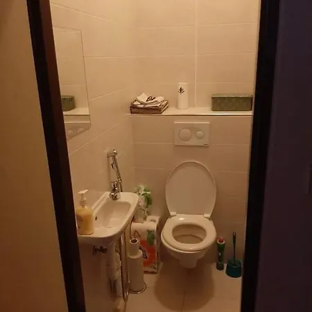 Pokoj S Terasou Ve Sdilenem Dome *