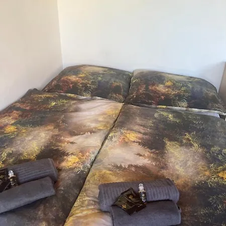 Pokoj S Terasou Ve Sdilenem Dome Homestay *