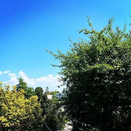Homestay Pokoj S Terasou Ve Sdilenem Dome *