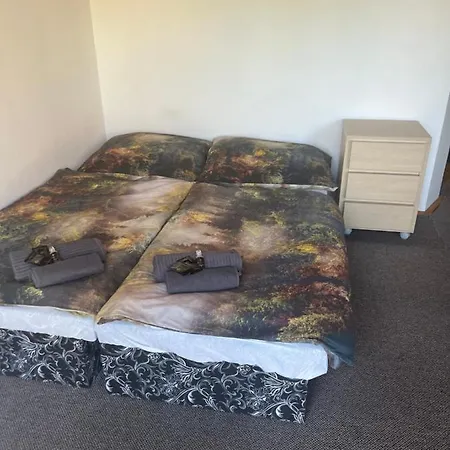 Pokoj S Terasou Ve Sdilenem Dome Homestay Zlin
