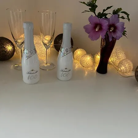 Pokoj S Terasou Ve Sdilenem Dome Zlín