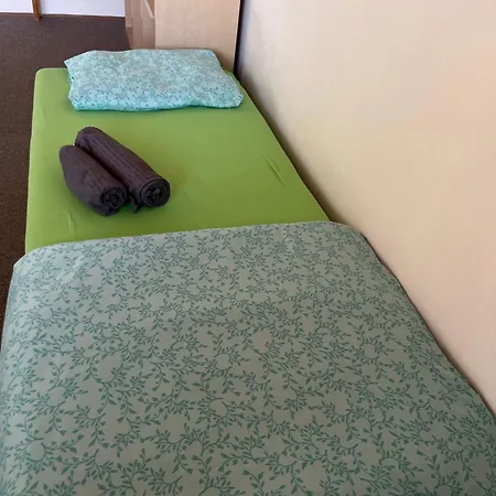 Pokoj S Terasou Ve Sdilenem Dome Homestay *